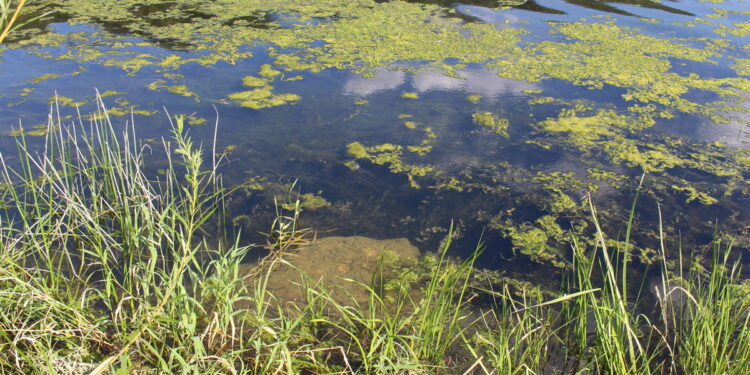 Skutki likwidacji kopalni. Zalewiska, zapadliska i nowe wydanie krajobrazu powiatu olkuskiego