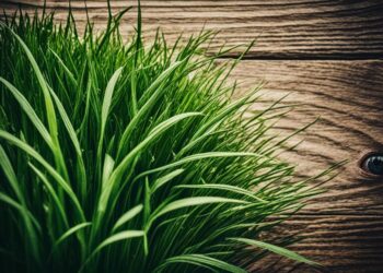 Wisława Szymborska - wiersze najpopularniejsze